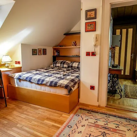 Apartment Martys Place With Private Parking Laibach